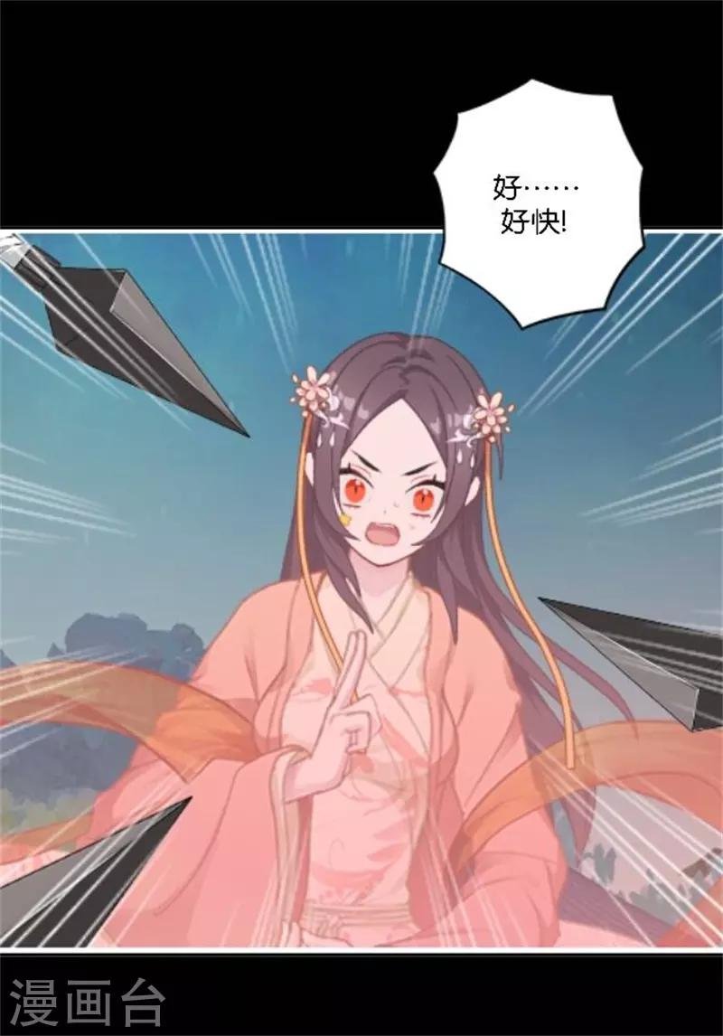 第33话 终局之战