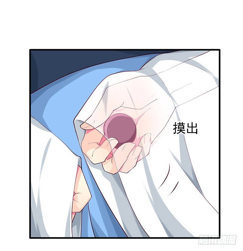 蛾子