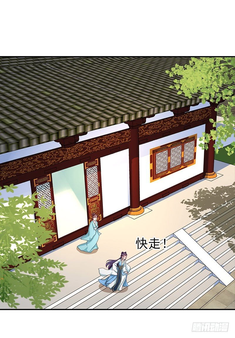 蛾子