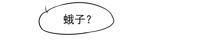 蛾子