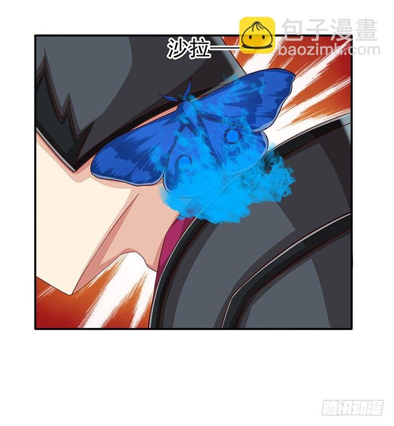 蛾子