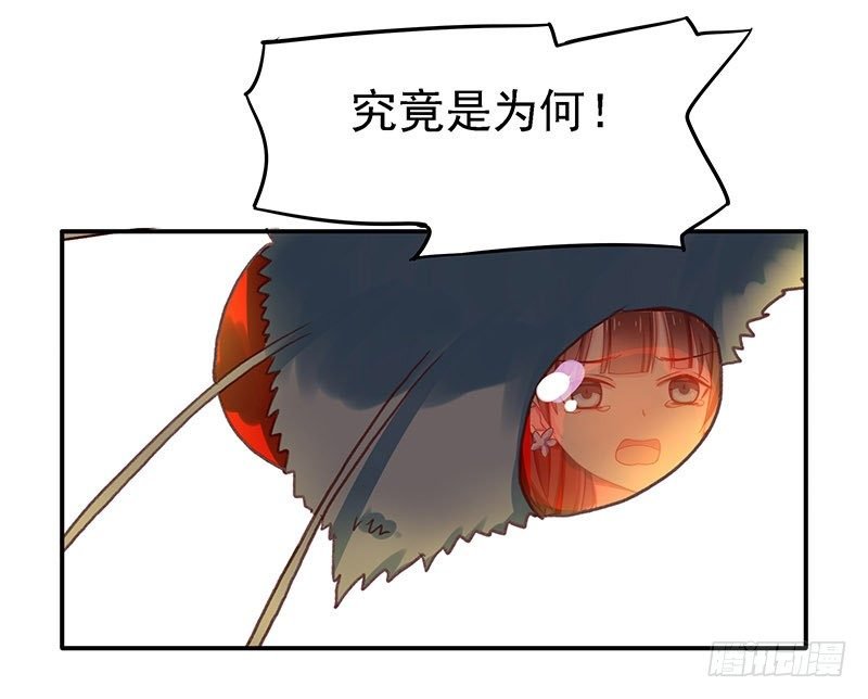蛾子