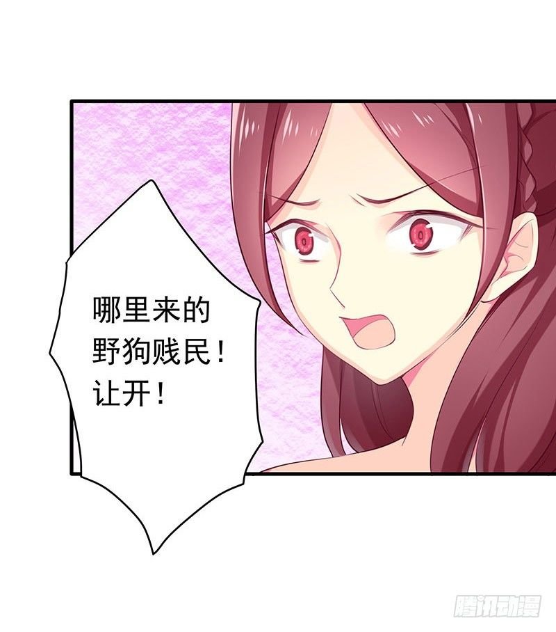 狗男女