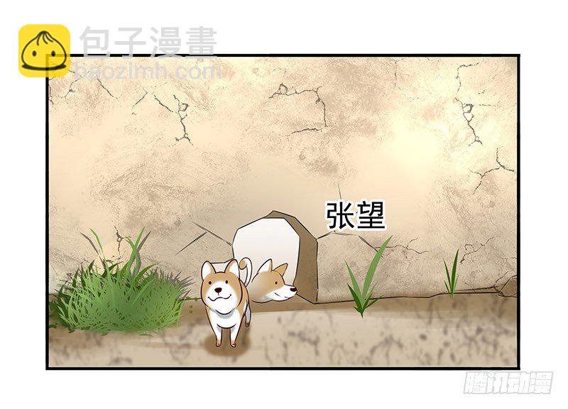 回来了
