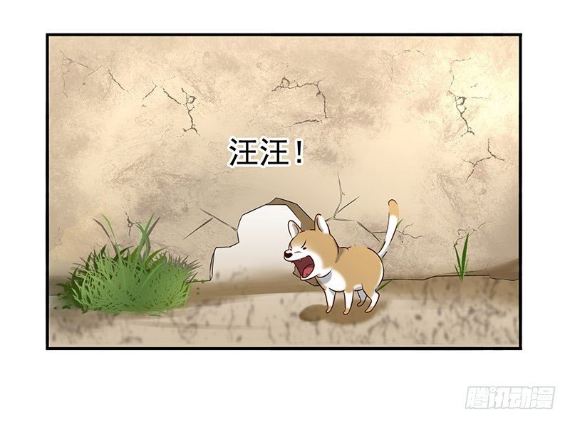 回来了