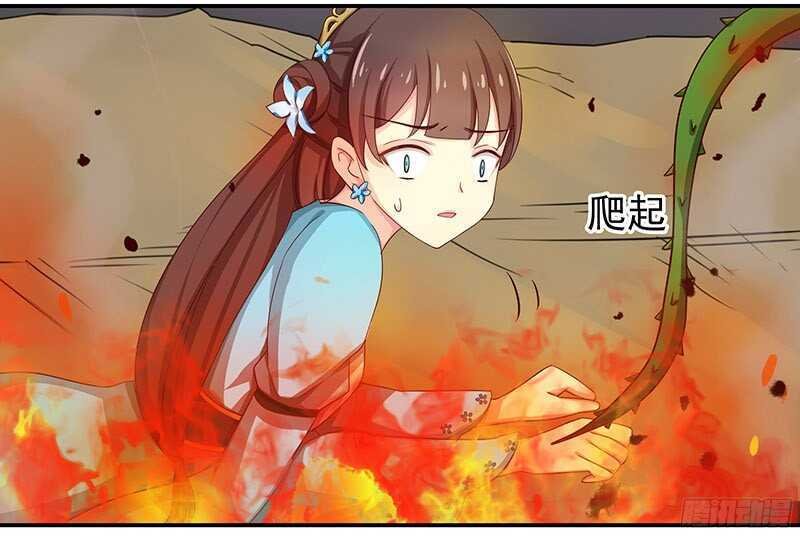 可怜了我的蛋蛋……