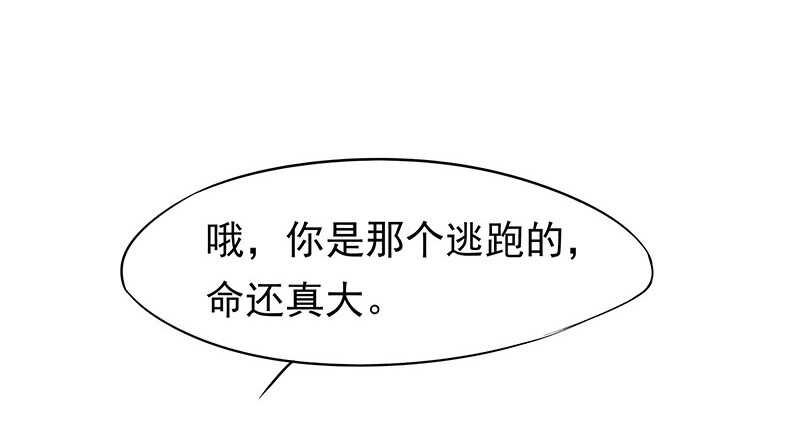 再见了蛋蛋