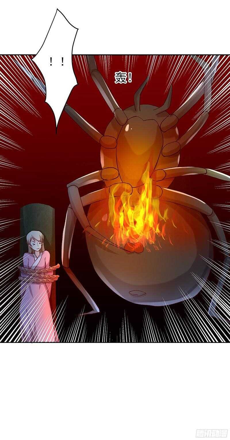 再见了蛋蛋