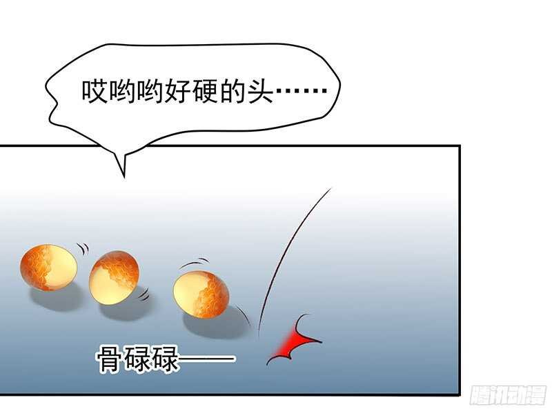 再见了蛋蛋