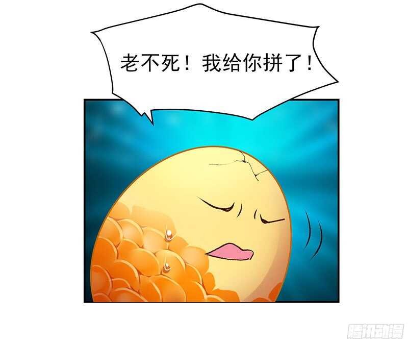 再见了蛋蛋