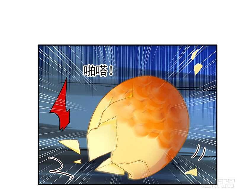 再见了蛋蛋