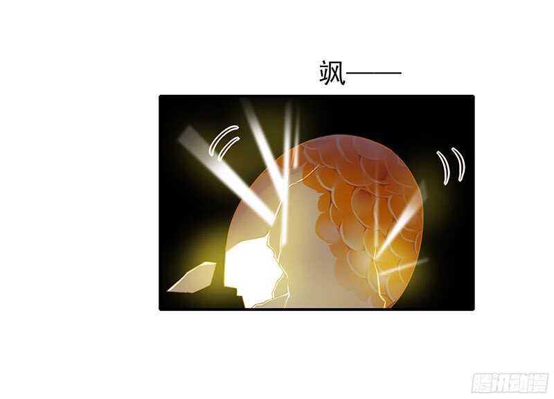 再见了蛋蛋