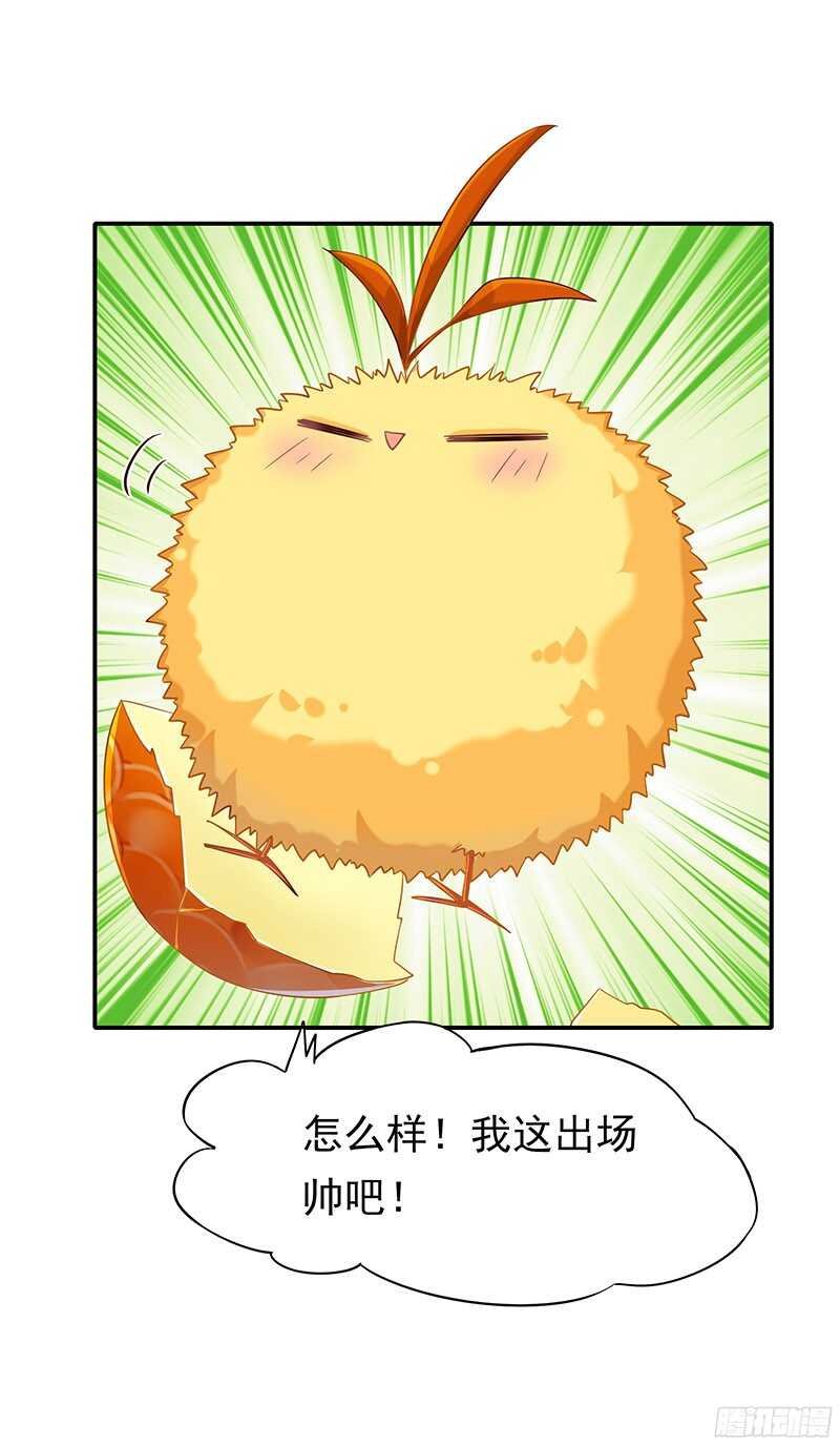 再见了蛋蛋