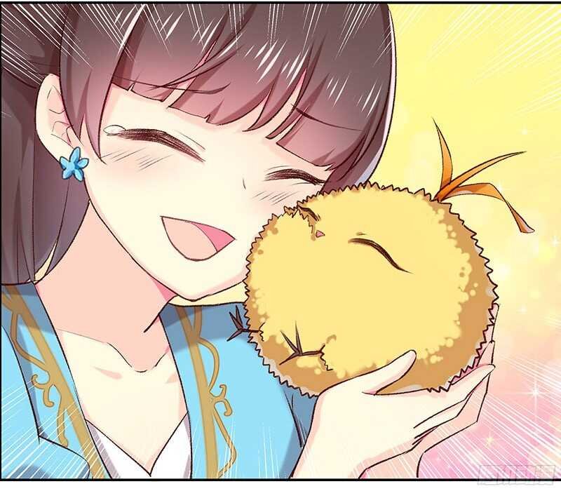 再见了蛋蛋