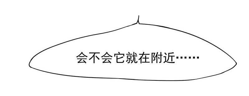 你们认识？