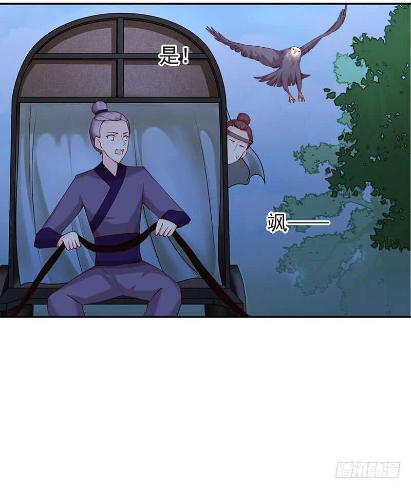 真是煞费苦心呢