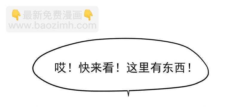 落毛凤凰不如鸡