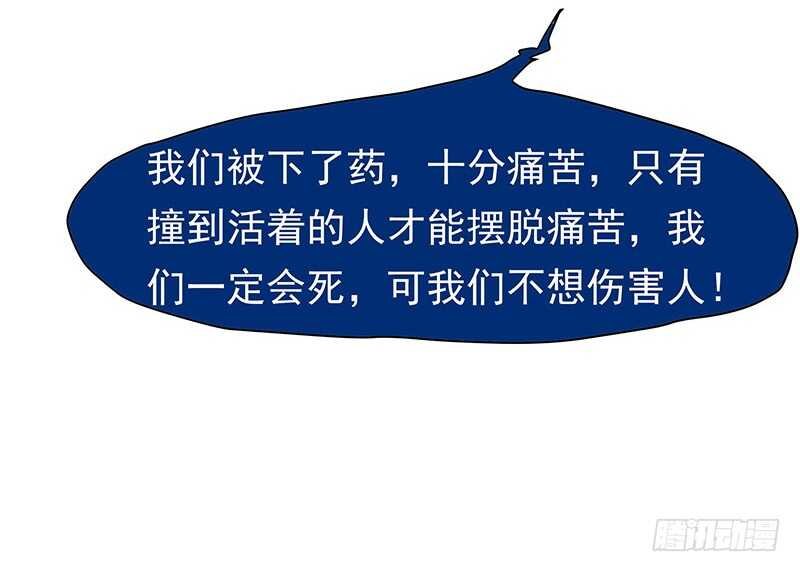 落毛凤凰不如鸡