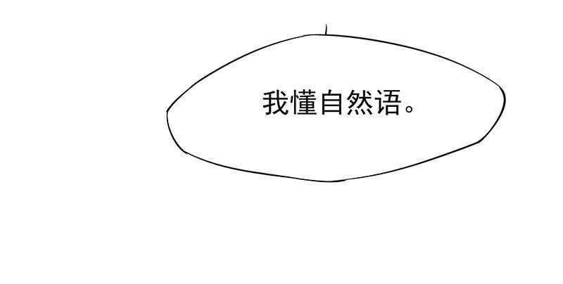 落毛凤凰不如鸡