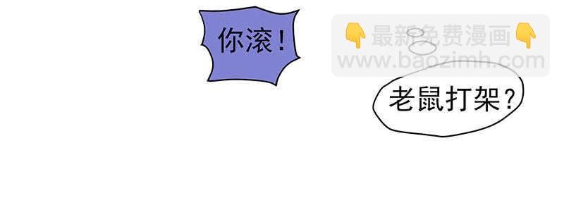 新来的真不懂规矩