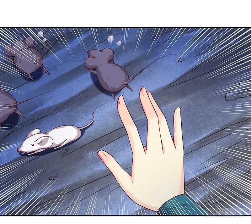 新来的真不懂规矩