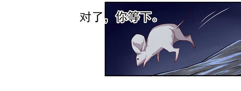 新来的真不懂规矩