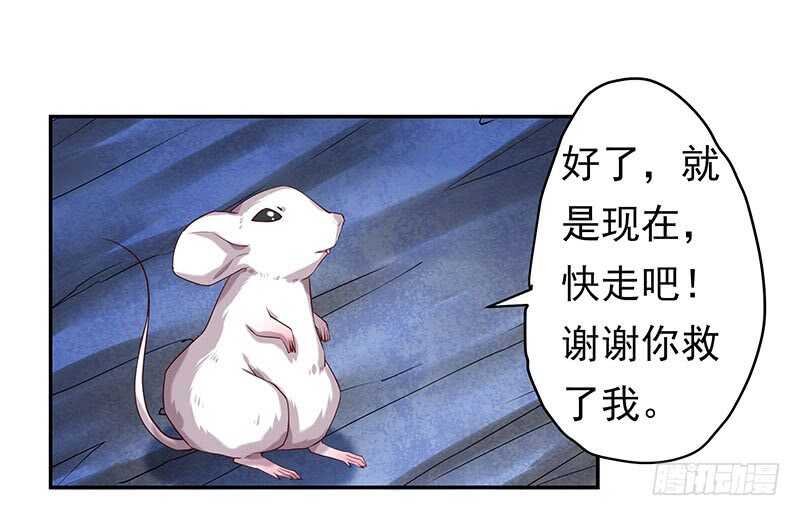 新来的真不懂规矩
