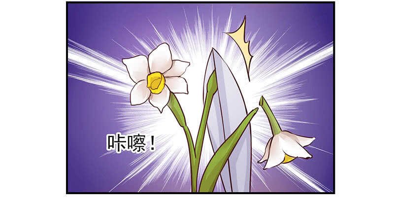 红颜祸水