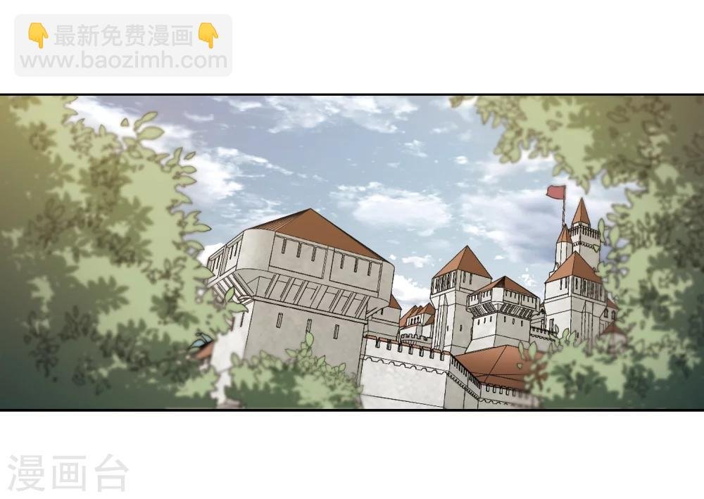 第210话 大型强盗组织3
