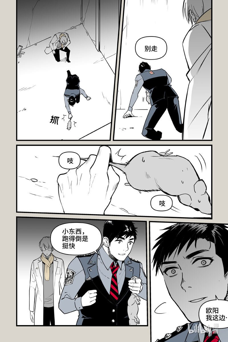 81 判断
