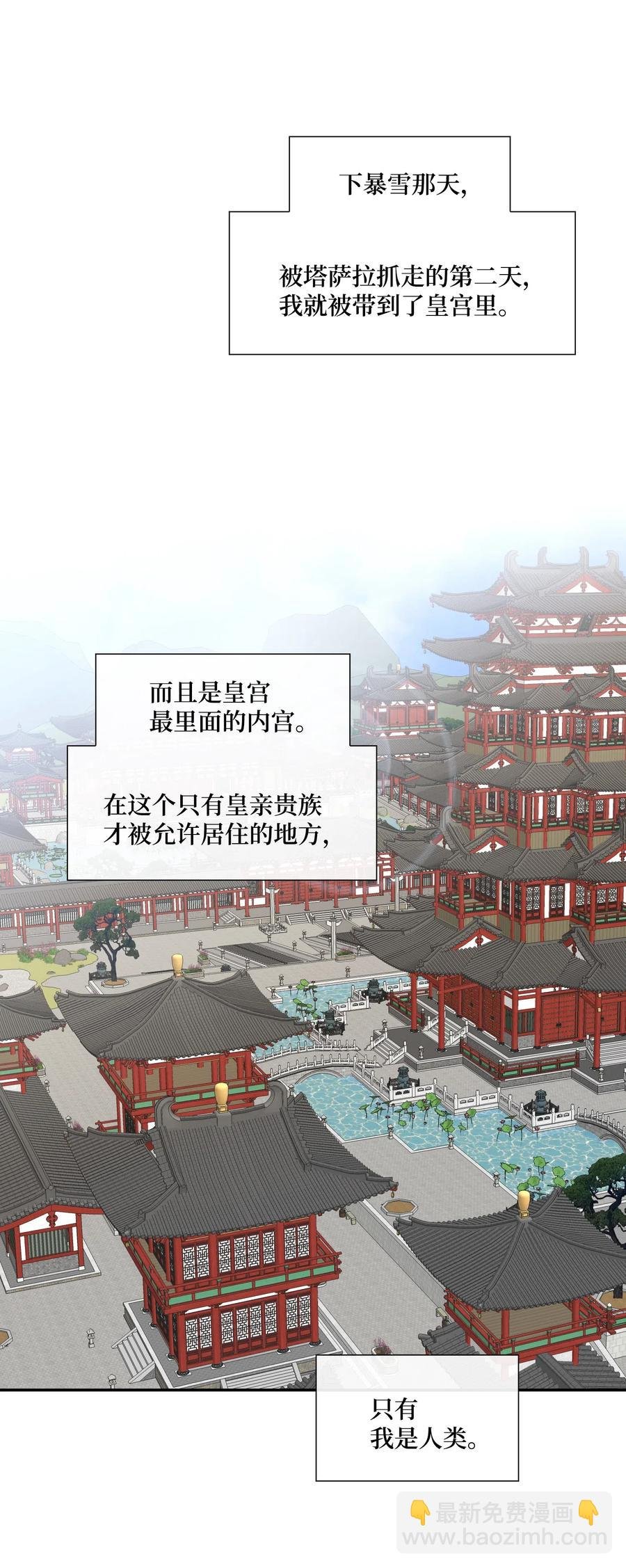 39 矛盾体（1）