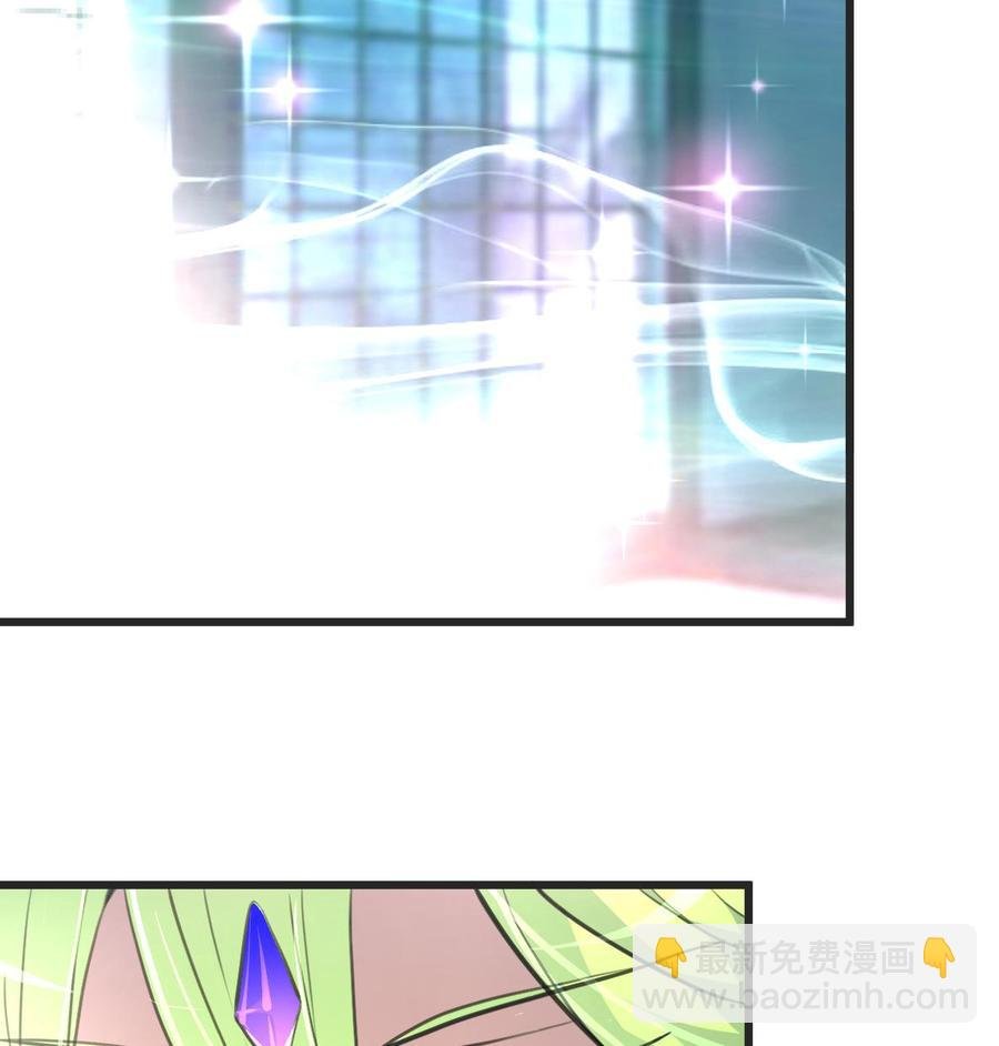 第24话 帐幔后的大师