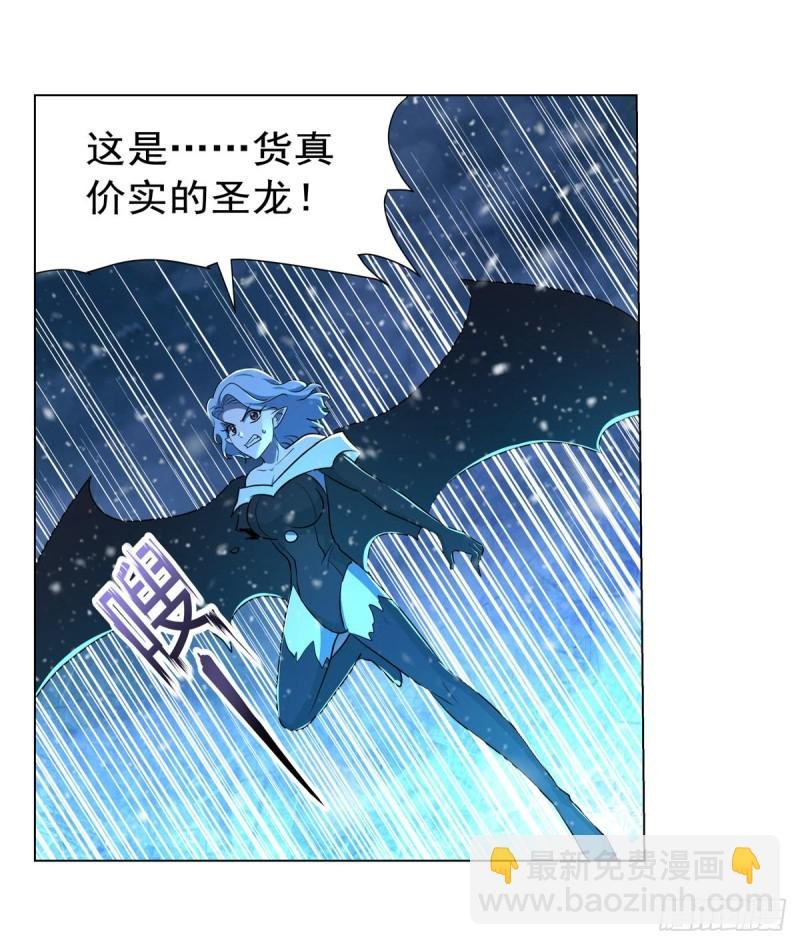 第232话 龙与蝠