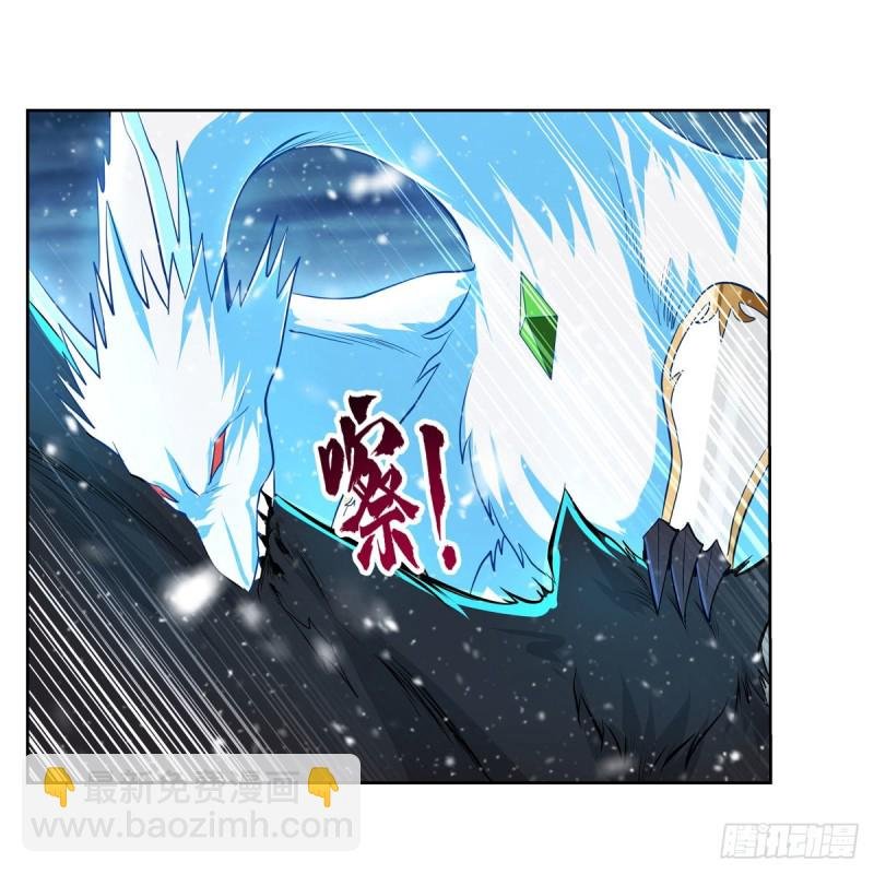 第232话 龙与蝠