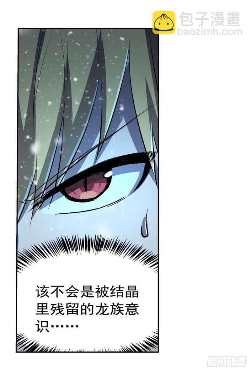 第232话 龙与蝠