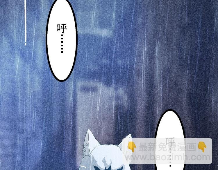 第1话 雨夜的相遇