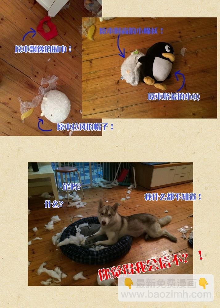 总081·你为何要来！（下）