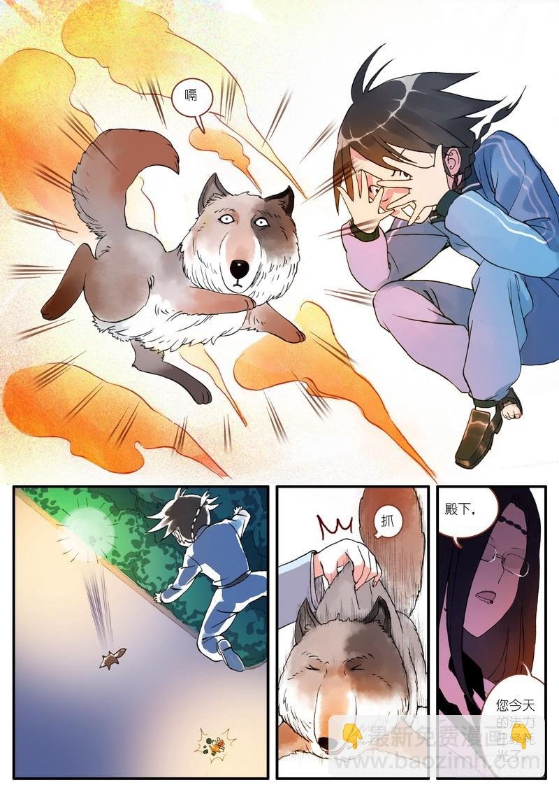003