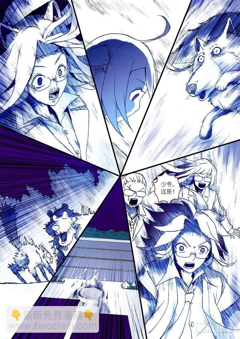 003