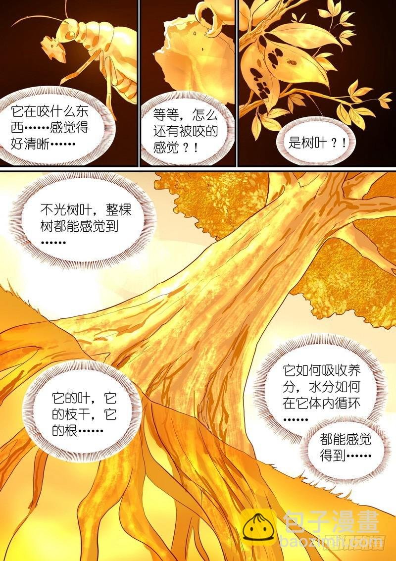 总288·高难度续缘任务？