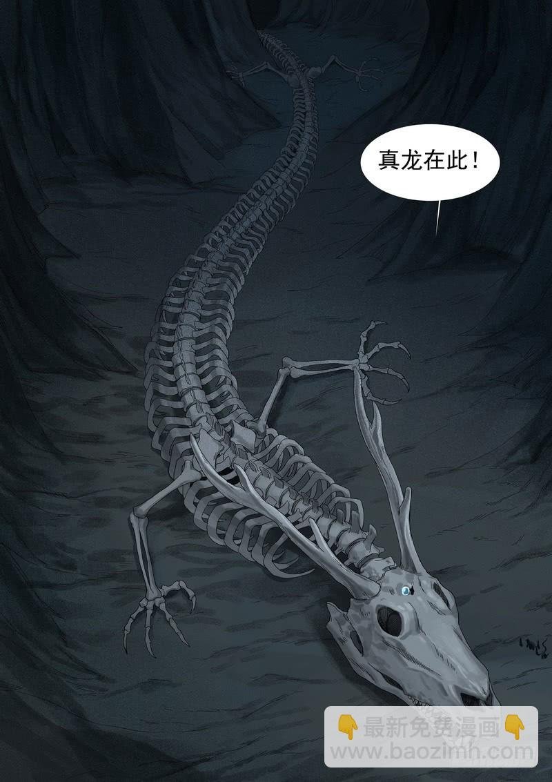 总352·真龙
