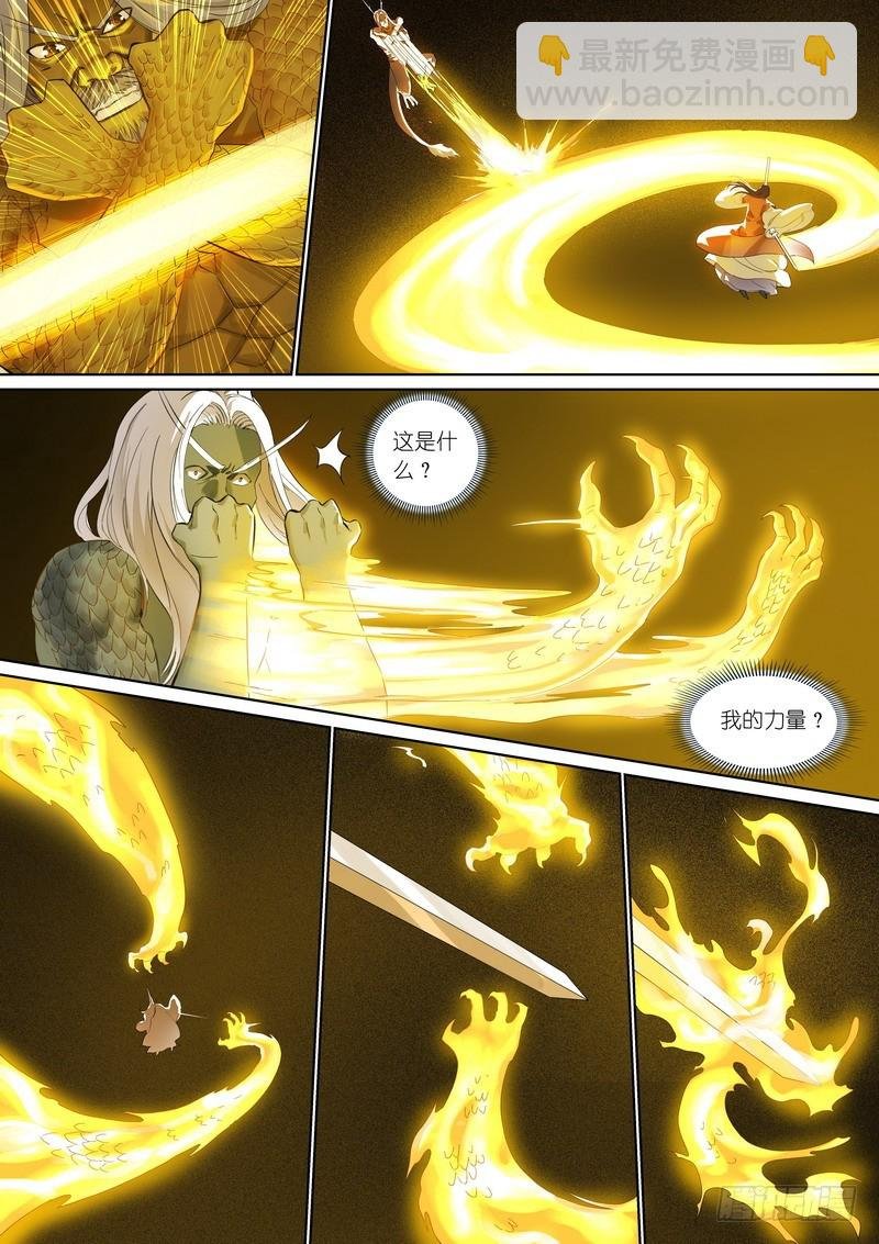 总357·王权剑才不是……