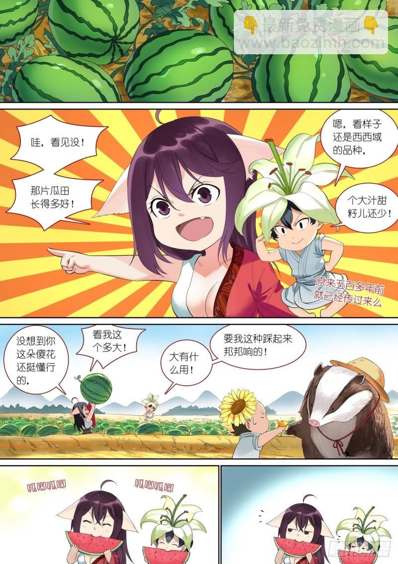 总383·涂山森友会……