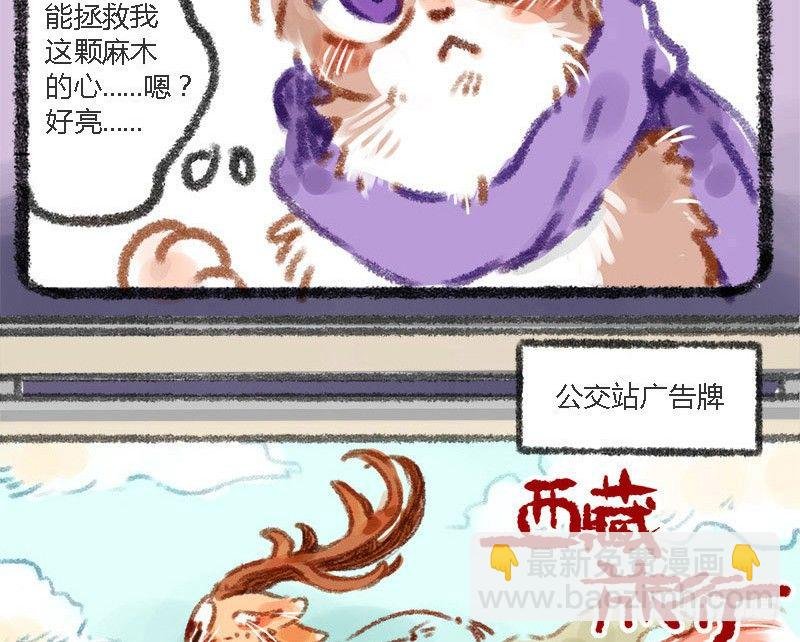 有美人兮，见之不忘。