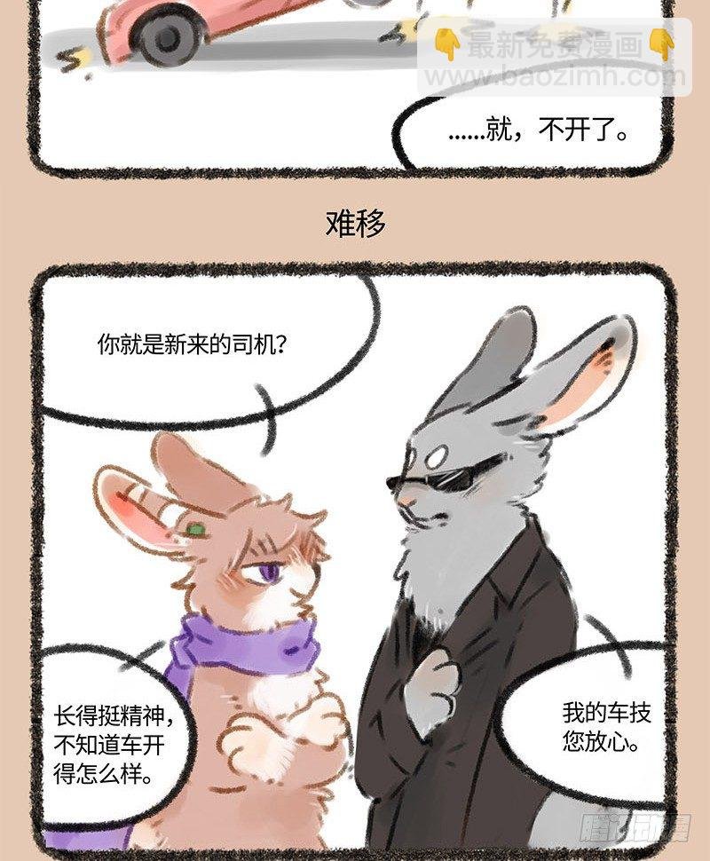 兔子不开车