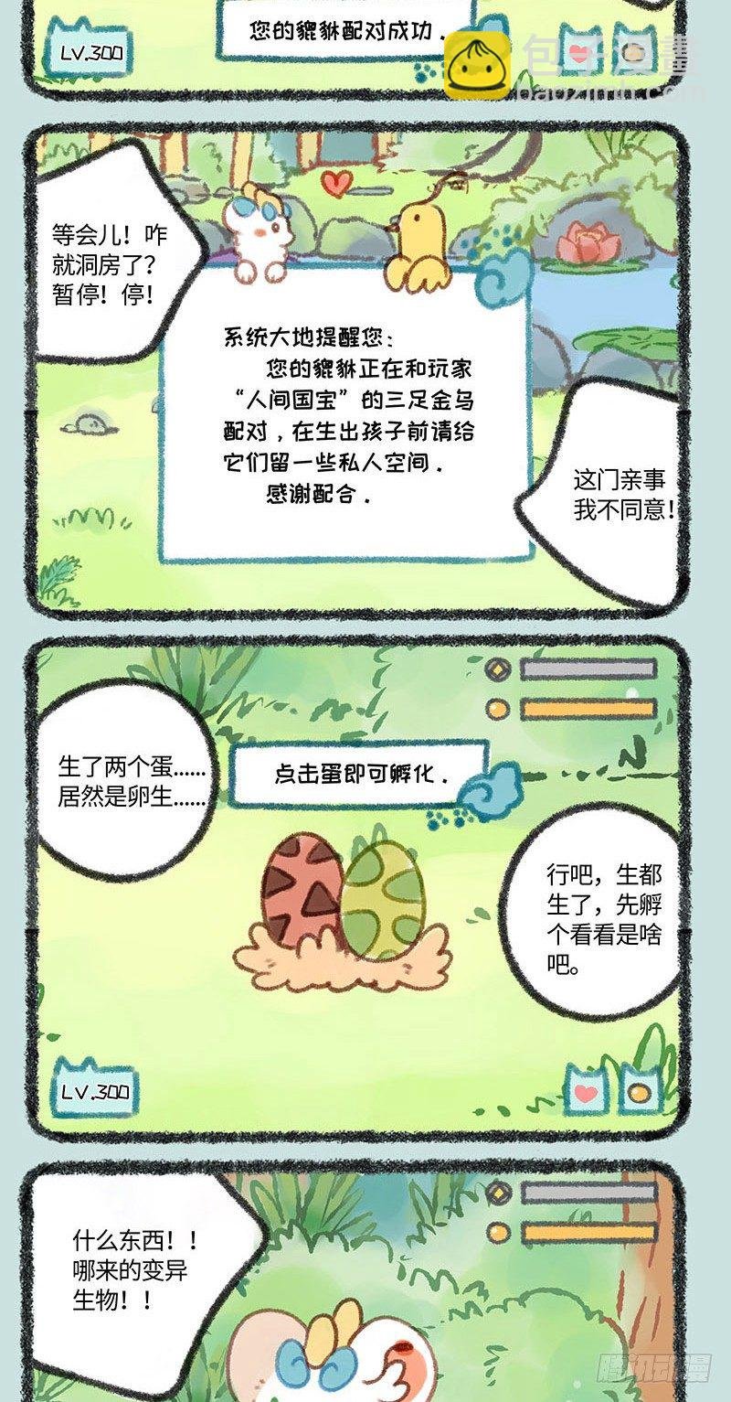 神兽饲养之皮皮篇