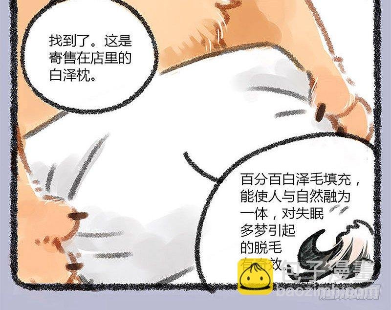 山穷水尽疑无路，白泽枕头治头秃