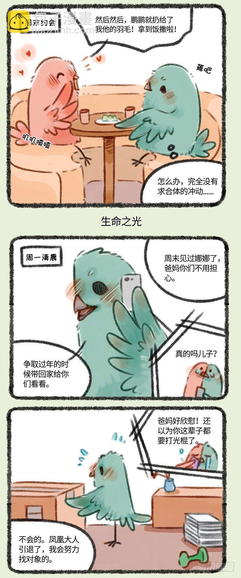 爱豆重出江湖！