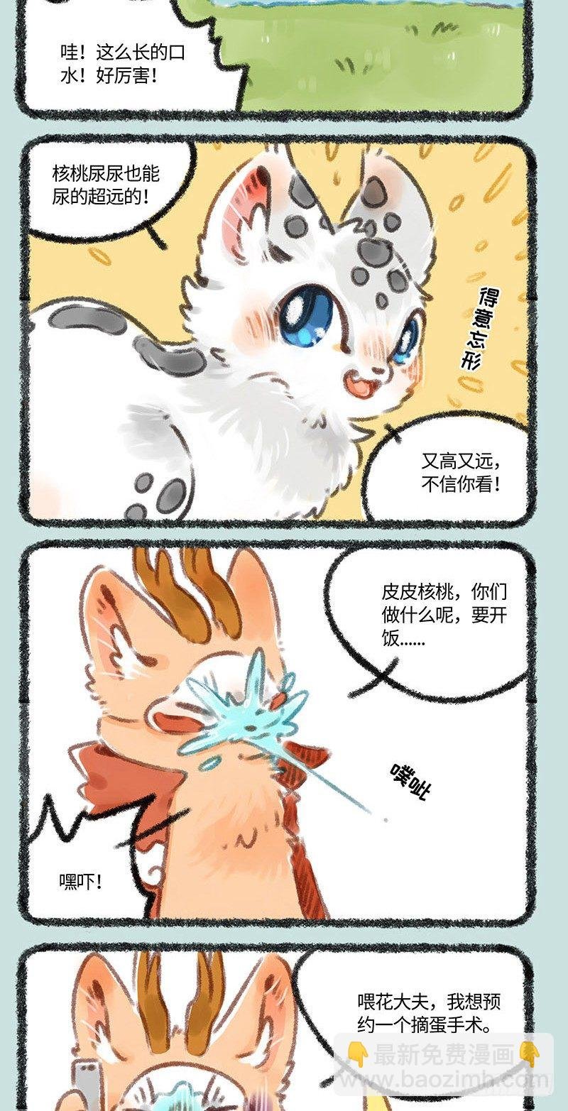 撸蛋手术