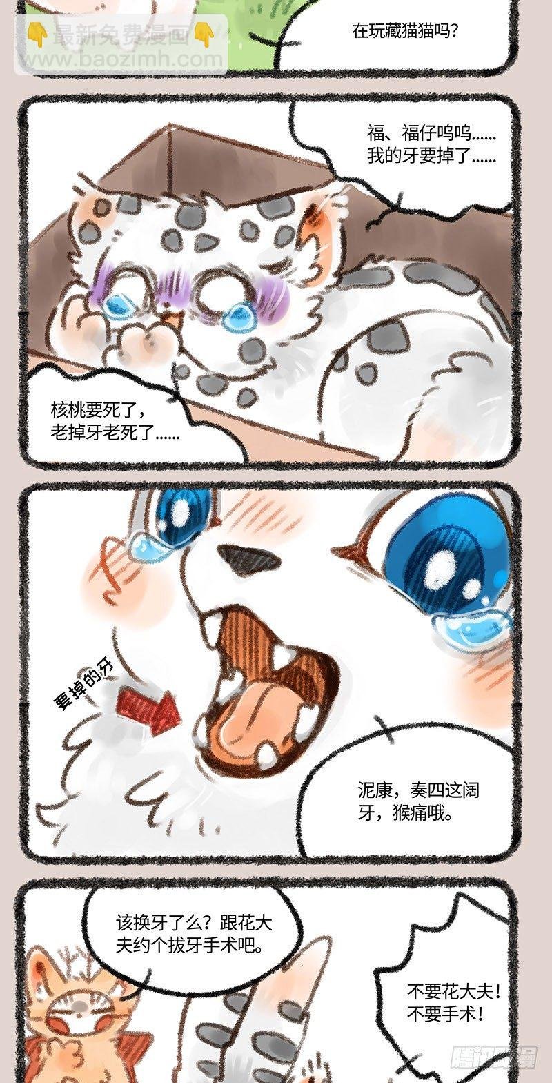 拔牙